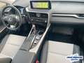 Lexus RX 450h h Style-Edition *PREMIUM NAVI*HUD*14.200KM Argent - thumbnail 14