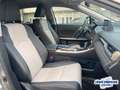 Lexus RX 450h h Style-Edition *PREMIUM NAVI*HUD*14.200KM Zilver - thumbnail 13