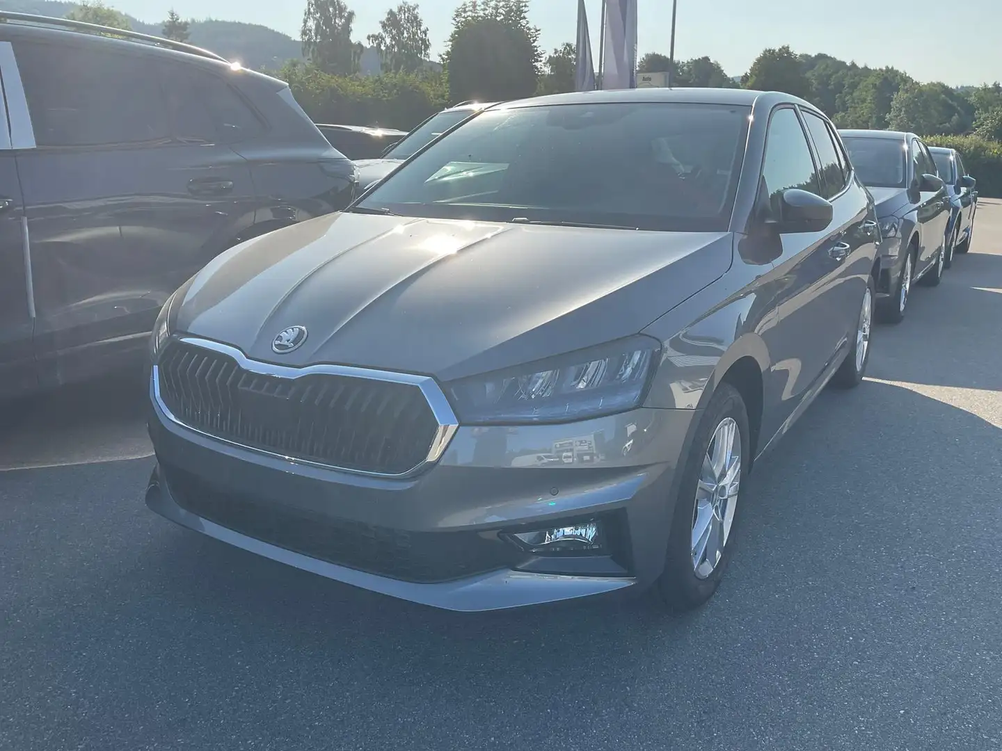 Skoda Fabia 1.0 TSI 130 Jahre, Side, Kamera, 16-Zoll, Winter, Grau - 2