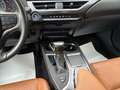 Lexus UX 250h Hybrid Premium Grau - thumbnail 13