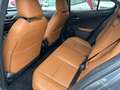 Lexus UX 250h Hybrid Premium Grau - thumbnail 8