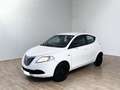 Lancia Ypsilon Ypsilon 1.2 69 CV 5 porte Elefantino Bianco - thumbnail 18