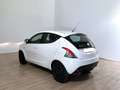Lancia Ypsilon Ypsilon 1.2 69 CV 5 porte Elefantino Bianco - thumbnail 6