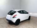 Lancia Ypsilon Ypsilon 1.2 69 CV 5 porte Elefantino Bianco - thumbnail 4