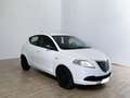 Lancia Ypsilon Ypsilon 1.2 69 CV 5 porte Elefantino Bianco - thumbnail 3