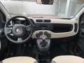 Fiat Panda Panda 1.2 Easy 69cv E6 Beige - thumbnail 11