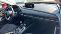 Mazda CX-30 2.0 E-SKY-G 90KW EXCLUSIVE-LINE 2WD 122 5P Rojo - thumbnail 11