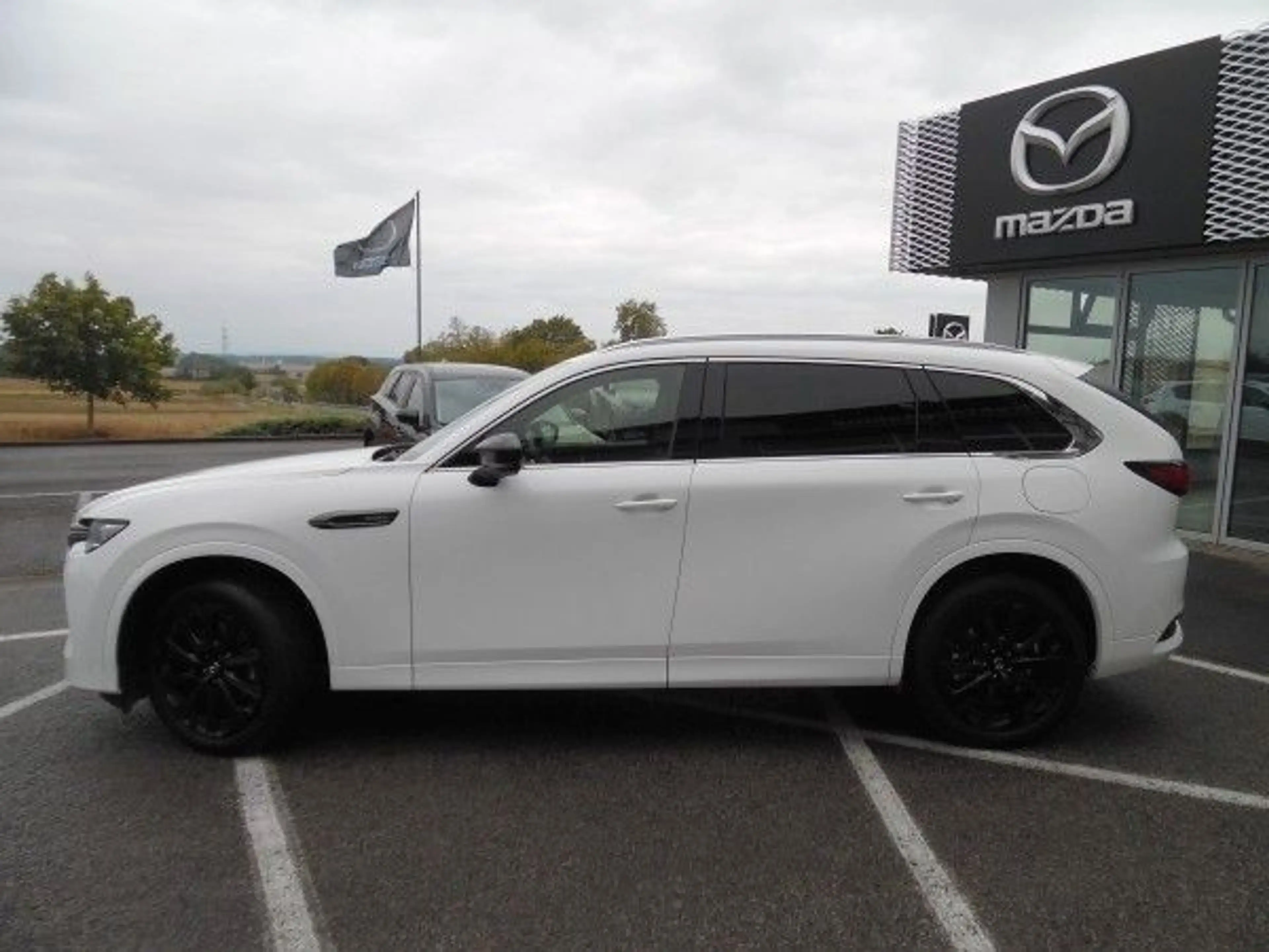 Mazda CX-80 2.5 e-SKYACTIV PHEV Homura Auto AWD COSO 6 — photo 2