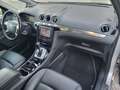Ford S-Max 2.0 tdci Titanium powershift (PER COMMERCIANTI) Argento - thumbnail 10