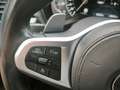 BMW X4 20d xDrive MSport AHK HUD Panorama Kamera Navi Dig Schwarz - thumbnail 20