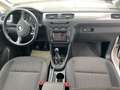 Volkswagen Caddy PKW Maxi Comfortline 7* SITZER Weiß - thumbnail 9