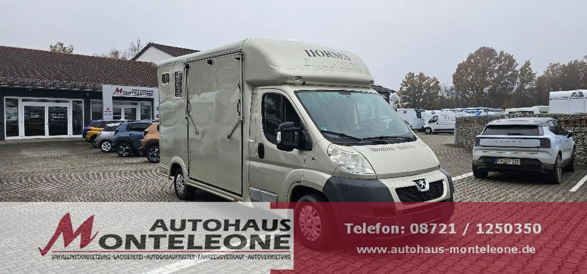 ADDAX Equi-Trek Sonic | 2 Pferdetransporter Klima Sof... Or - 1