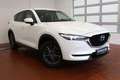 Mazda CX-5 Exclusive-Line Led Navi Winterpaket Weiß - thumbnail 4