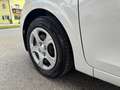 Kia Picanto Attract 1,0 MPI Titan Weiß - thumbnail 10