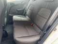 Kia Picanto Attract 1,0 MPI Titan Weiß - thumbnail 14