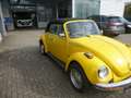 Volkswagen Käfer Cabrio US Import Jaune - thumbnail 14