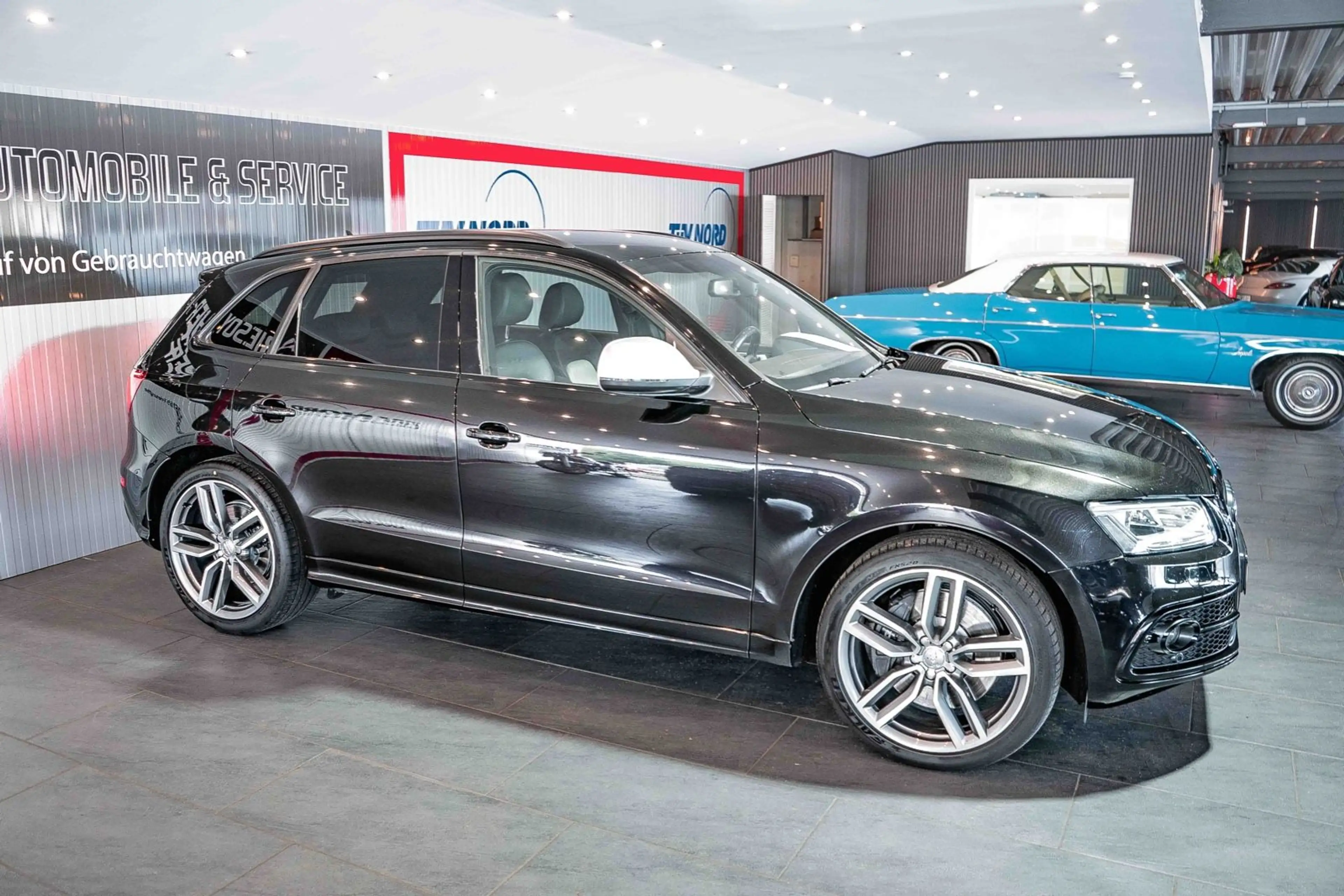 Audi SQ5 3.0 TDI quattro Xenon Standhzg. AHK Leder — photo 2