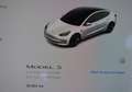 Tesla Model 3 Long-Range Dual Motor 498Pk Shadowpack  M:2022 Wit - thumbnail 10