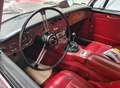 Austin Healey - thumbnail 7