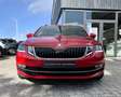 Skoda Octavia 2.0 TDI DSG - 150 PK Rouge - thumbnail 3