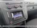 Volkswagen Caddy maxi 2.0 tdi 102cv trendline e6 Bianco - thumbnail 16