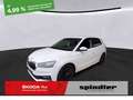 Skoda Fabia Ambition 1.0 TSI / LED, Tempomat, RFK, SHZ Weiß - thumbnail 1