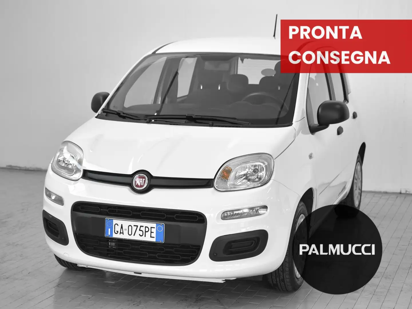 Fiat Panda Panda 1.2 Easy - 1