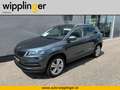 Skoda Karoq 1.5 TSI 150PS Ambition Limited DSG Grau - thumbnail 1
