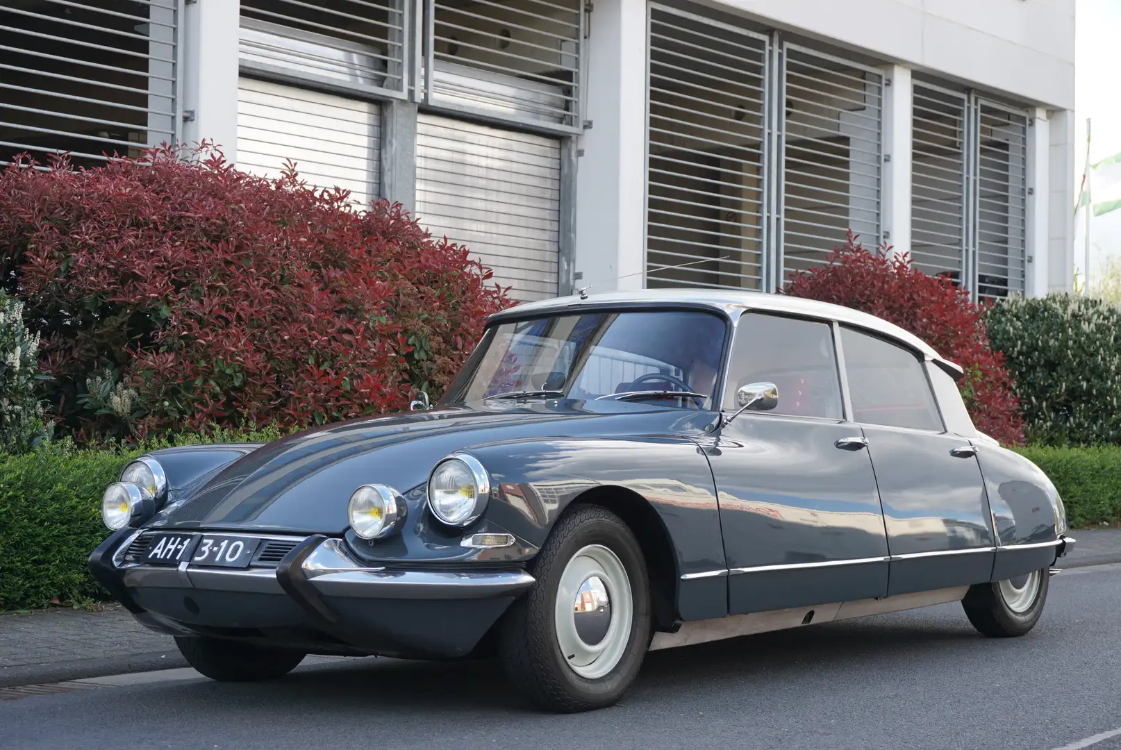 Oldtimer Citroen ID 19 B, Zusatzscheinwerfer wie DS Pallas Grau - 1
