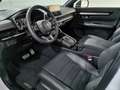 Honda CR-V PHEV Advance Tech Automatik +Head-Up-Display+Parka Blanc - thumbnail 13