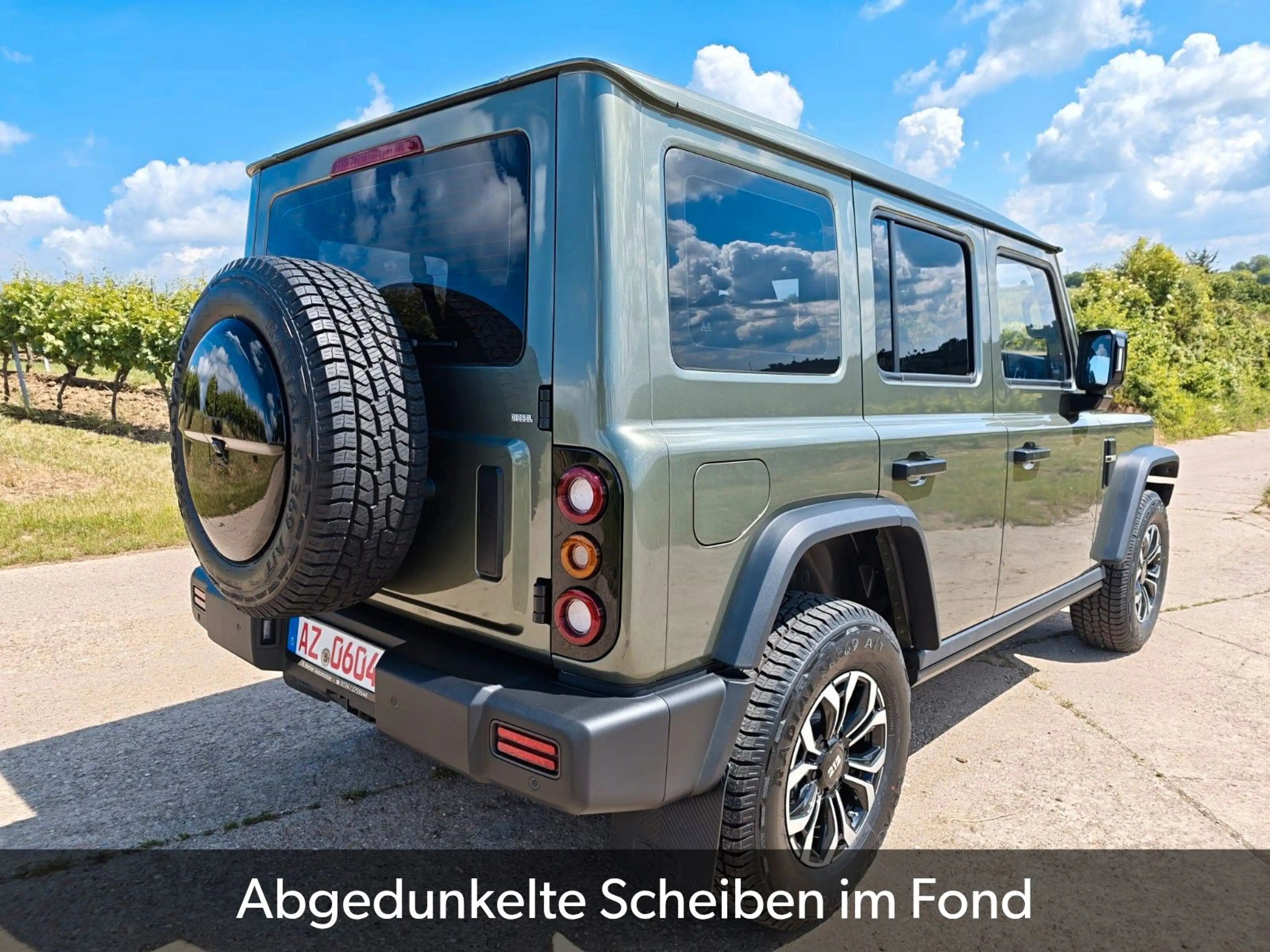 BAW 212 sofort verfügbar abgedunkelten Scheiben — photo 4