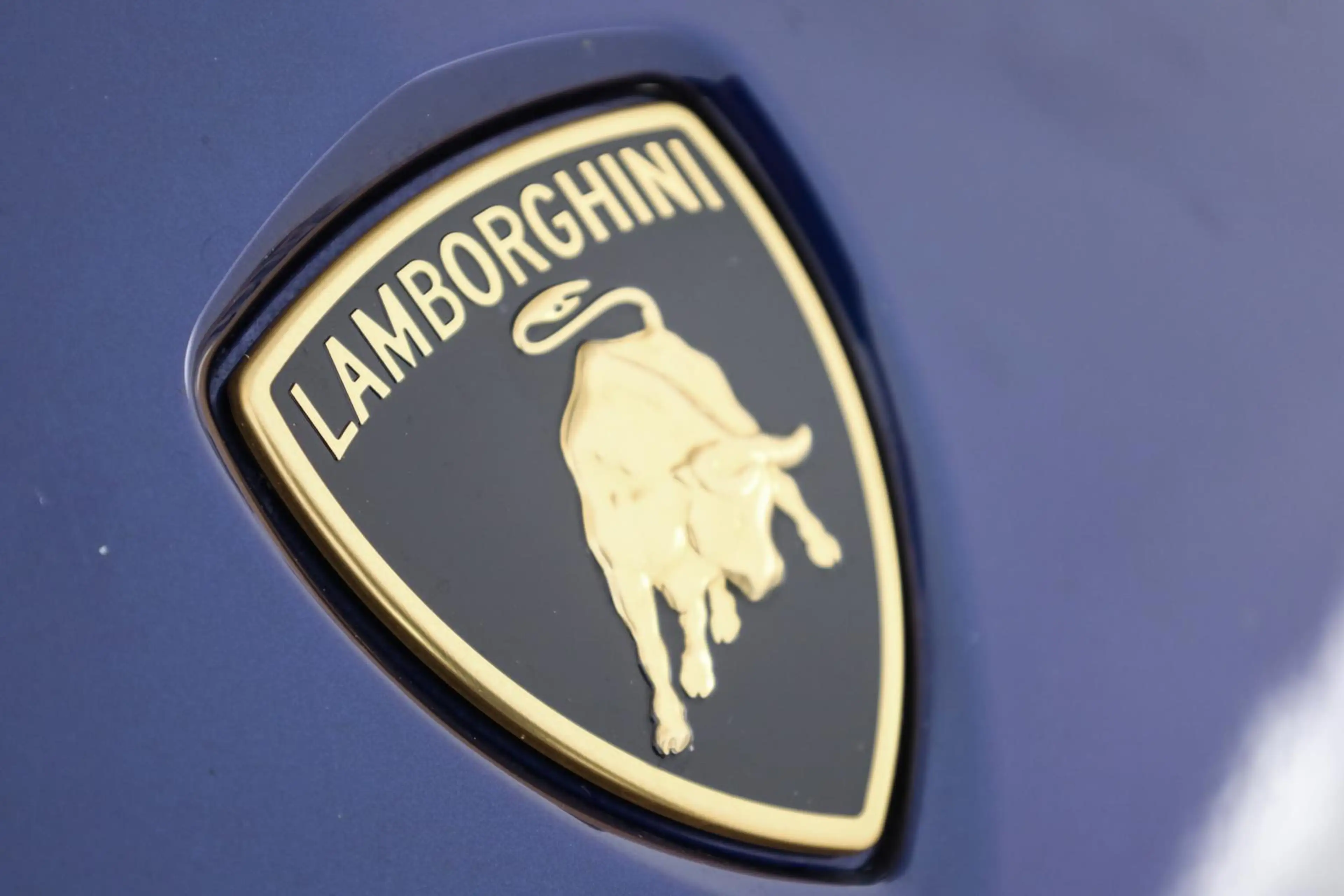 Lamborghini Urus Carbon Alcantara LED Pano Sensonum SHZ 23" — photo 11