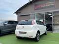 Fiat Punto Punto 5p 1.4 natural power Street (easy) 70cv Blanc - thumbnail 6