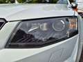 Skoda Octavia Lim. RS     **Bi-Xenion/PDC/Navi/Leder** Weiß - thumbnail 8