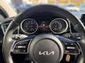 Kia Ceed SW / cee'd SW ceed SW 1,5 TGDI Gold Rot - thumbnail 14