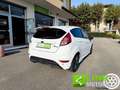 Ford Fiesta 1.5 TDCi 75CV 5 porte ST-Line GARANZIA INCLUSA Bianco - thumbnail 13