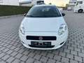 Fiat Grande Punto 1.2 8V Basis Weiß - thumbnail 2