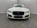 Jaguar XF Prestige 20d E PERF*PANO*LEDER*BI-XENON*CARPL Weiß - thumbnail 2