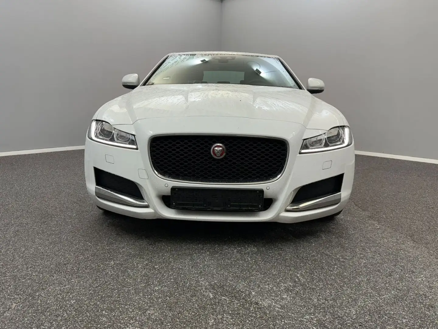 Jaguar XF Prestige 20d E PERF*PANO*LEDER*BI-XENON*CARPL Weiß - 2