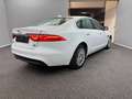 Jaguar XF Prestige 20d E PERF*PANO*LEDER*BI-XENON*CARPL Weiß - thumbnail 7