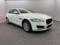 Jaguar XF Prestige 20d E PERF*PANO*LEDER*BI-XENON*CARPL Weiß - thumbnail 3