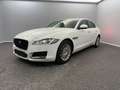 Jaguar XF Prestige 20d E PERF*PANO*LEDER*BI-XENON*CARPL Weiß - thumbnail 1