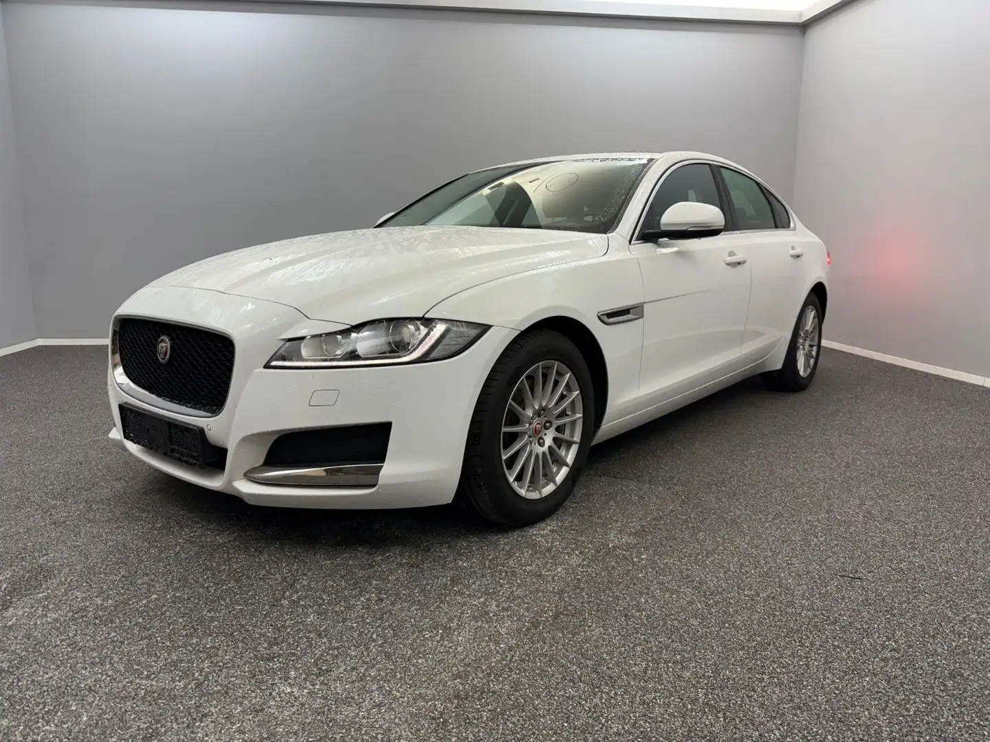 Jaguar XF Prestige 20d E PERF*PANO*LEDER*BI-XENON*CARPL Weiß - 1