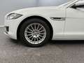 Jaguar XF Prestige 20d E PERF*PANO*LEDER*BI-XENON*CARPL Weiß - thumbnail 4