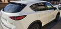 Mazda CX-5 CX-5 2.2 Skyactiv-D Evolution Navi 2WD Aut. 110Kw Blanco - thumbnail 10