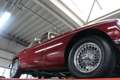 MG MGB Roadster Nice driver-quality Rosso - thumbnail 10