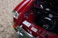 MG MGB Roadster Nice driver-quality Rojo - thumbnail 9