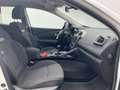 Renault Kadjar 1.2 TCe Zen Hoge zit Navi Clima Cruise Trekhaak Wit - thumbnail 20