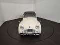 Triumph TR3 petite bouche Alb - thumbnail 15