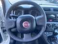 Fiat Panda Panda III 2021 1.0 firefly hybrid s Blanco - thumbnail 11